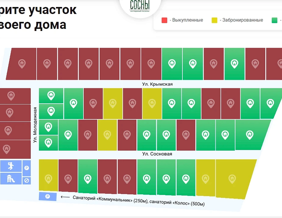 Сосны